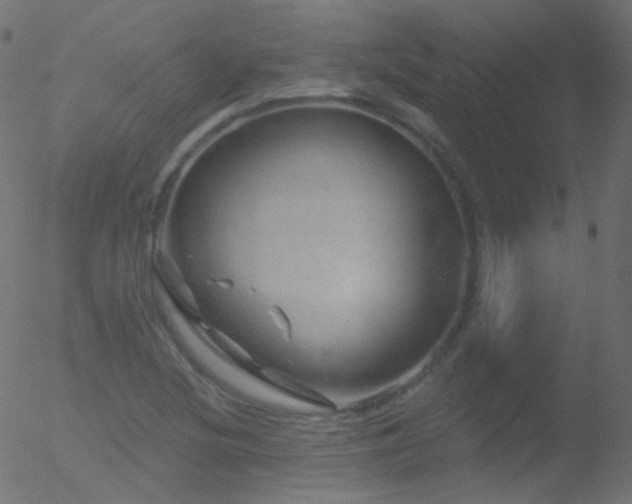 X0000052571220200507011212