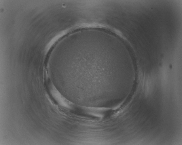 X0000052571221200507011212