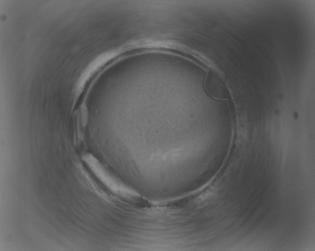 X0000052571223200507011212