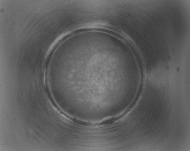 X0000052571224200507011212