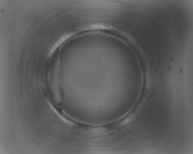 X0000052571225200507011212