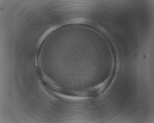 X0000052571226200507011212