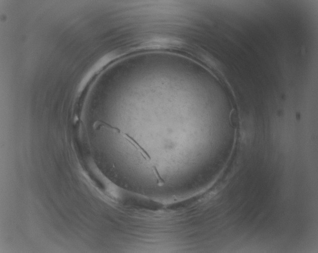 X0000052571227200507011212