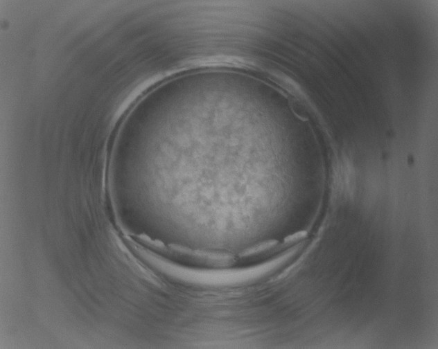 X0000052571228200507011212