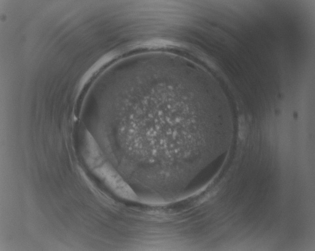 X0000052571229200507011212