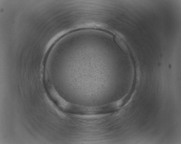 X0000052571230200507011212