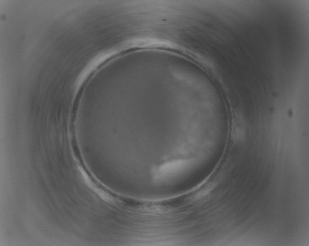 X0000052571231200507011212