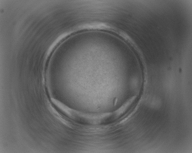 X0000052571232200507011212