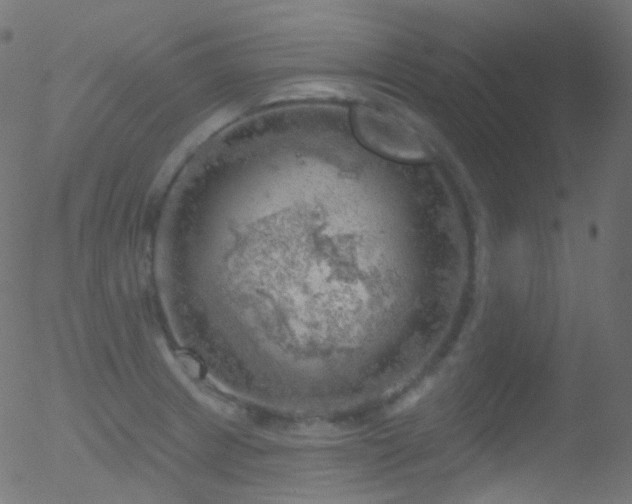 X0000052571233200507011212