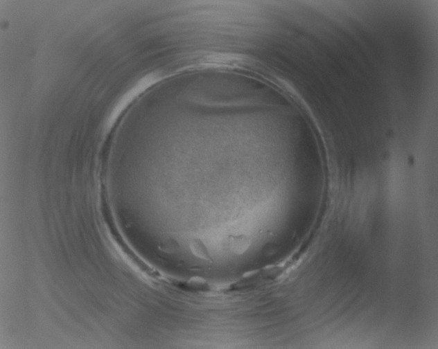 X0000052571235200507011212