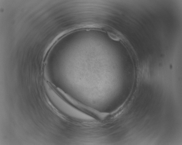 X0000052571236200507011212