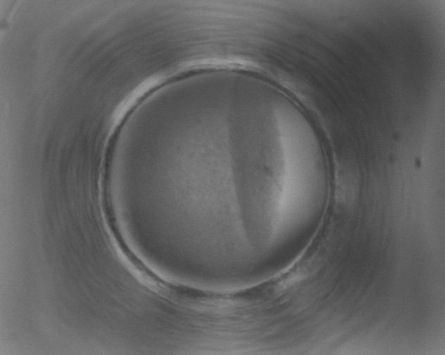 X0000052571237200507011212