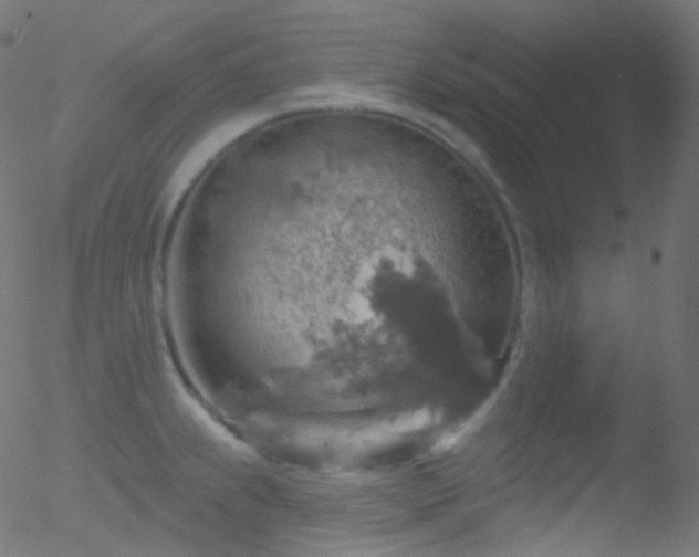 X0000052571239200507011212