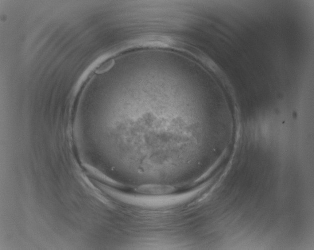 X0000052571240200507011212