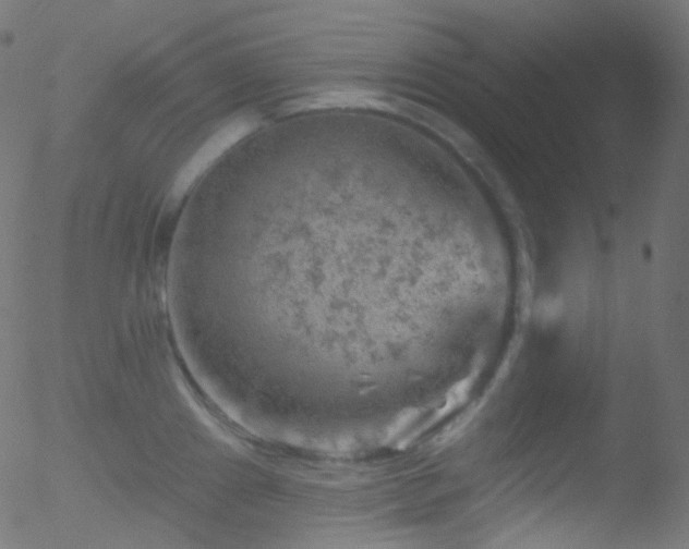 X0000052571241200507011212