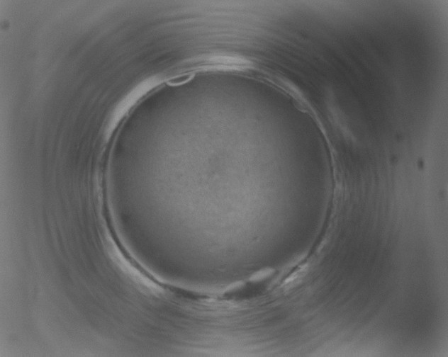 X0000052571243200507011213