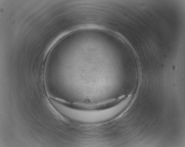 X0000052571244200507011213