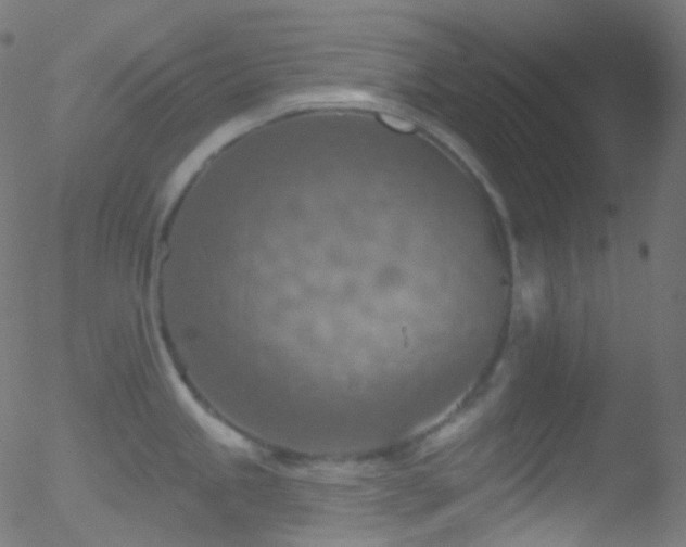 X0000052571245200507011213