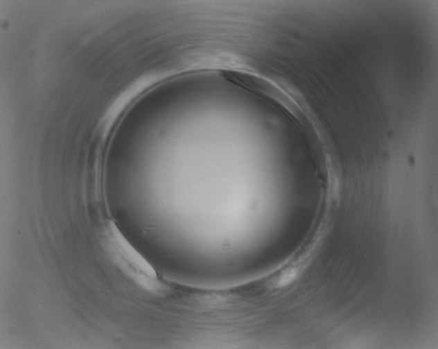 X0000052571246200507011213