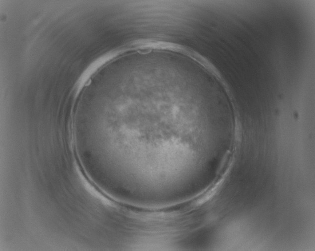 X0000052571247200507011213