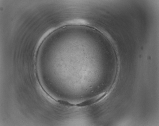 X0000052571248200507011213