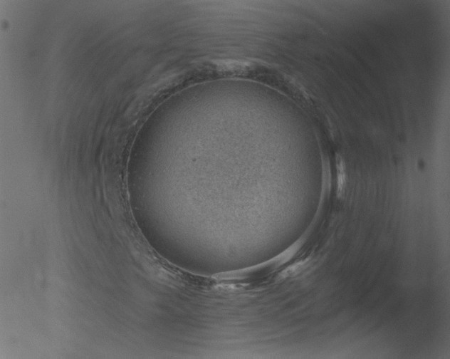 X0000052571249200507011212