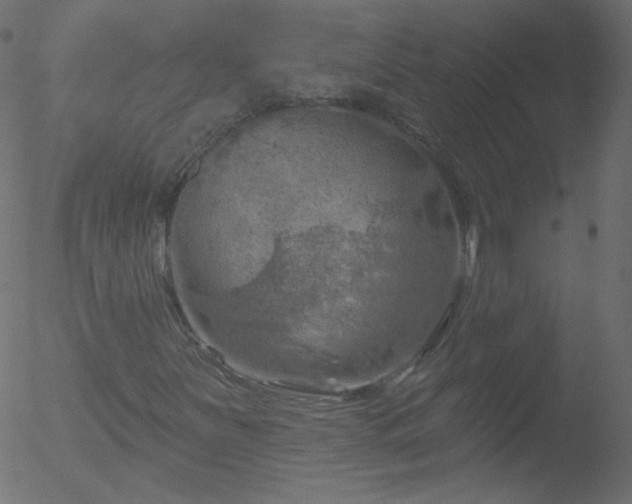 X0000052571251200507011212