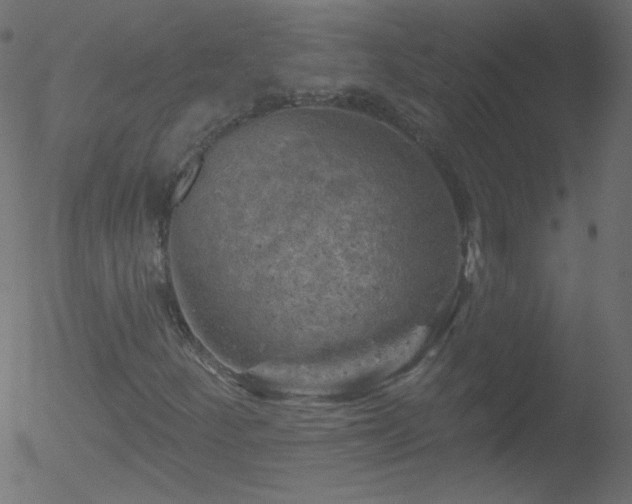 X0000052571252200507011212