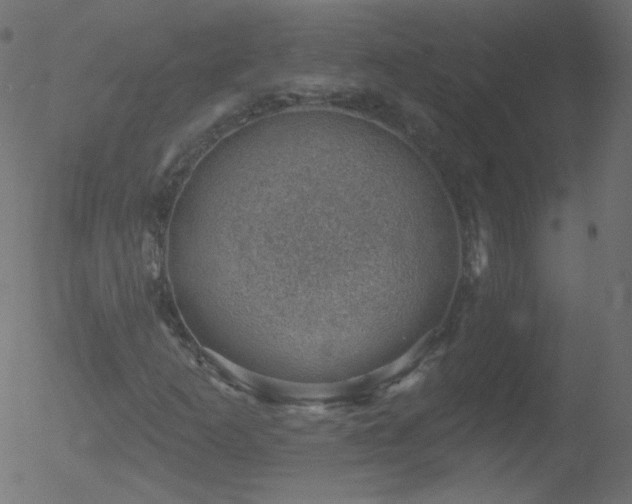 X0000052571253200507011212