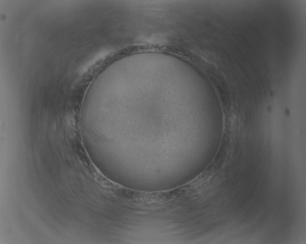 X0000052571254200507011212