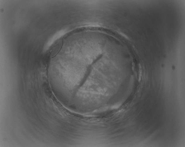 X0000052571255200507011212