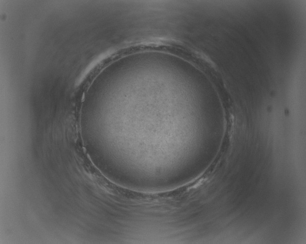 X0000052571256200507011212