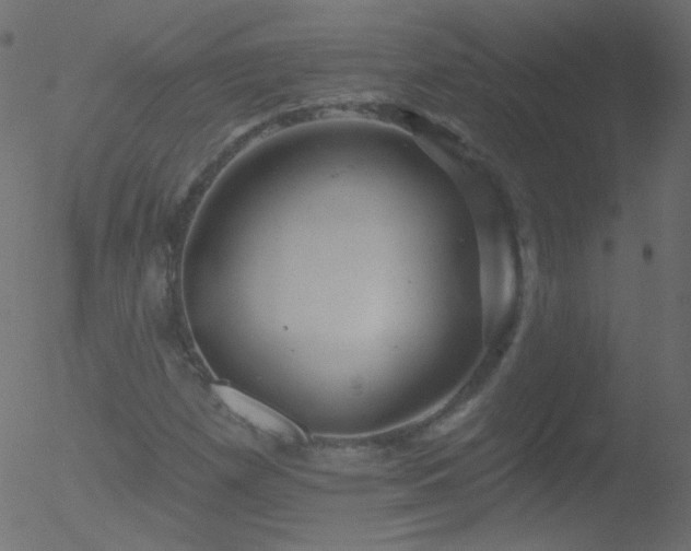 X0000052571257200507011212