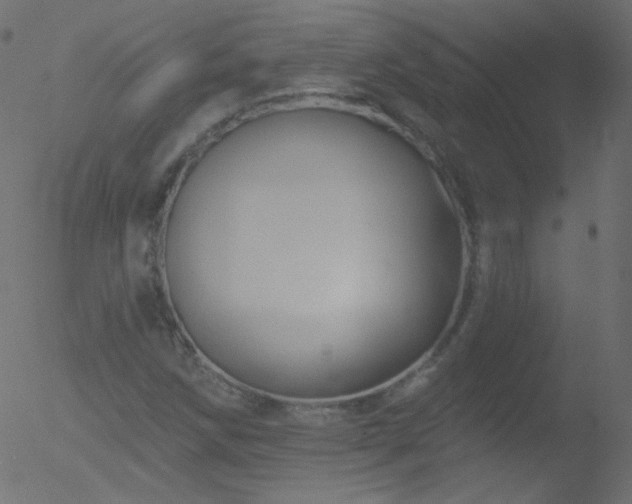 X0000052571258200507011212