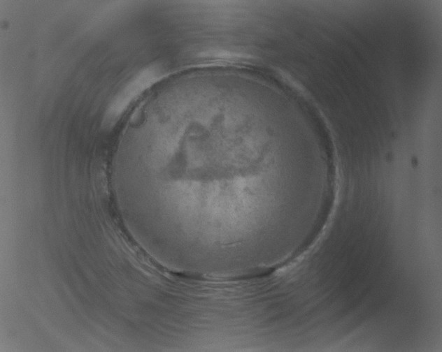 X0000052571259200507011212