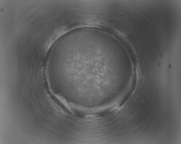 X0000052571260200507011212