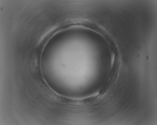 X0000052571261200507011212