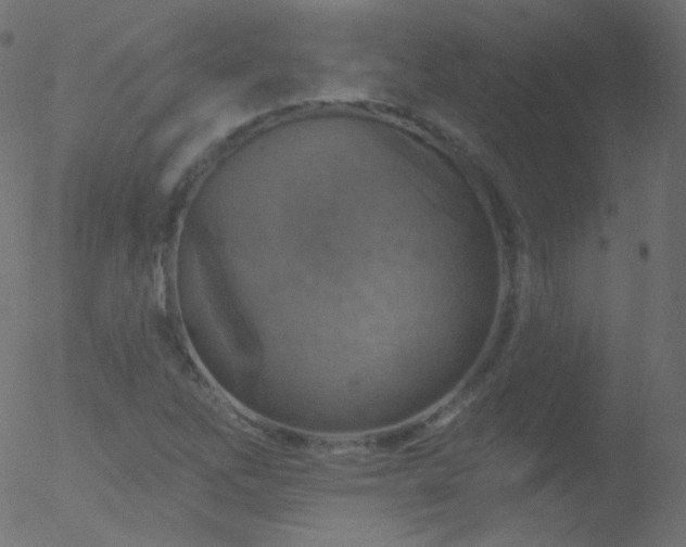 X0000052571262200507011212