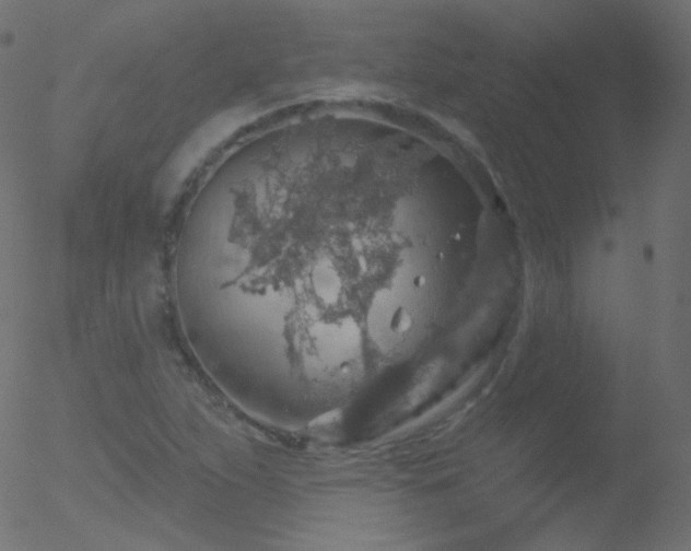 X0000052571263200507011212