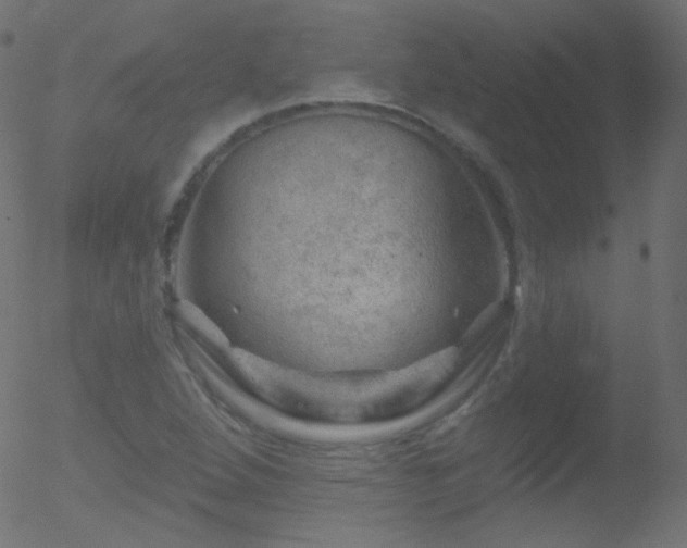 X0000052571264200507011212