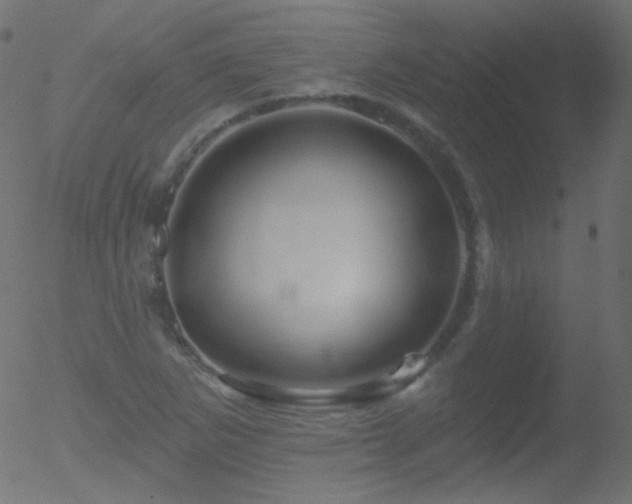 X0000052571265200507011212