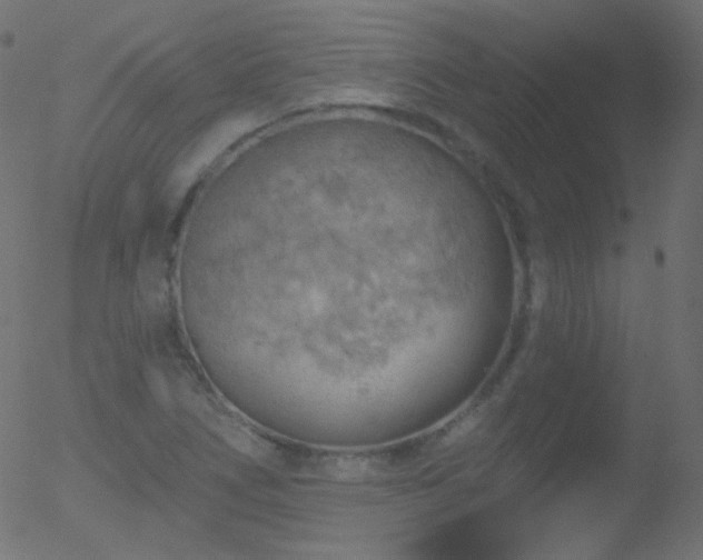 X0000052571266200507011212