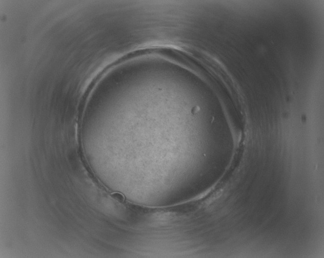 X0000052571268200507011212