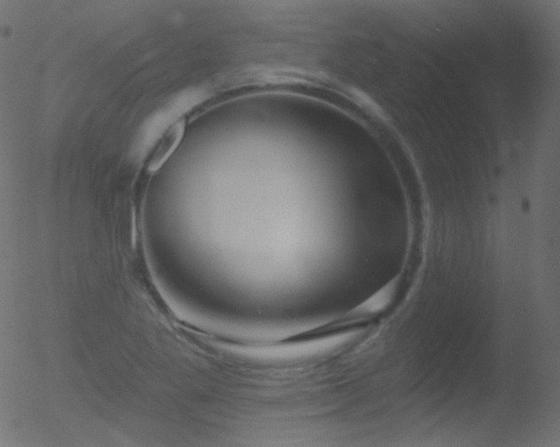 X0000052571269200507011212