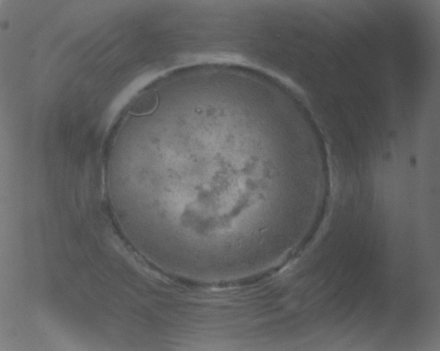 X0000052571271200507011211