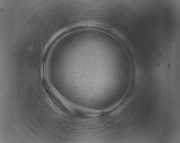 X0000052571272200507011211