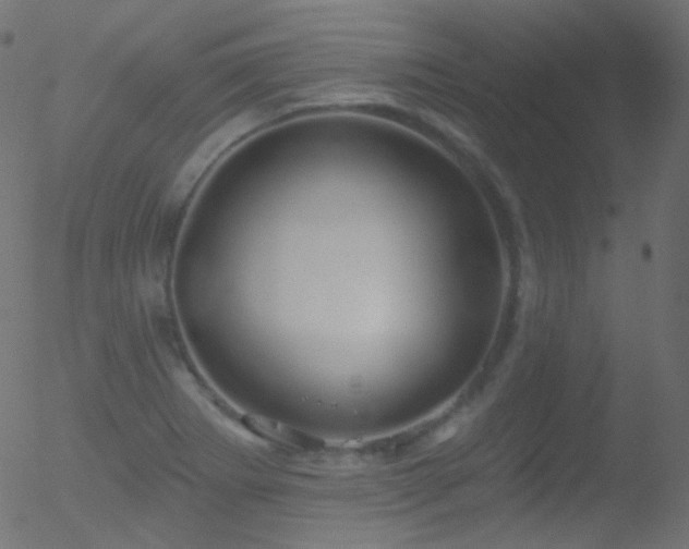 X0000052571273200507011211