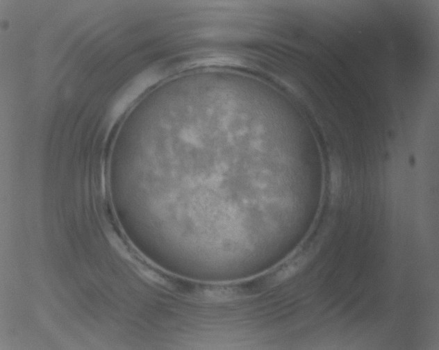 X0000052571274200507011211