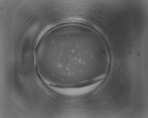 X0000052571275200507011211