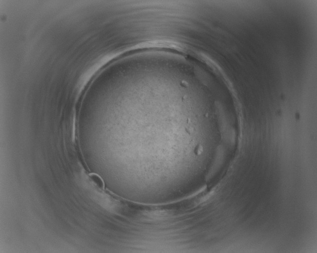 X0000052571276200507011211